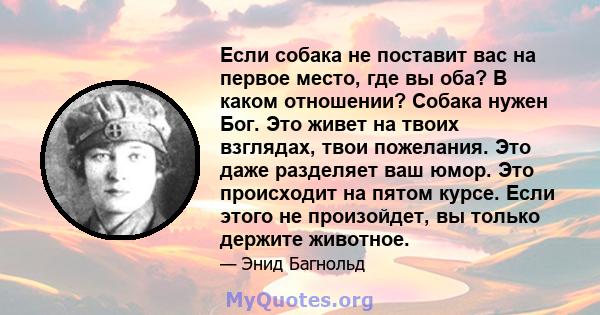 Если собака не поставит вас на первое место, где вы оба? В каком отношении? Собака нужен Бог. Это живет на твоих взглядах, твои пожелания. Это даже разделяет ваш юмор. Это происходит на пятом курсе. Если этого не