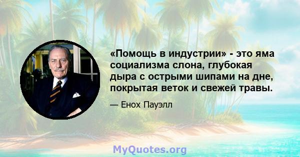 «Помощь в индустрии» - это яма социализма слона, глубокая дыра с острыми шипами на дне, покрытая веток и свежей травы.