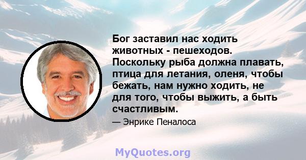 Бог заставил нас ходить животных - пешеходов. Поскольку рыба должна плавать, птица для летания, оленя, чтобы бежать, нам нужно ходить, не для того, чтобы выжить, а быть счастливым.