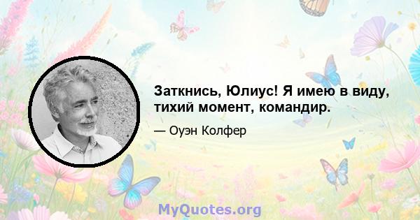 Заткнись, Юлиус! Я имею в виду, тихий момент, командир.