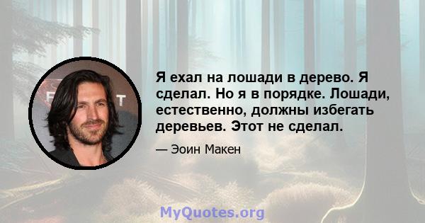 Я ехал на лошади в дерево. Я сделал. Но я в порядке. Лошади, естественно, должны избегать деревьев. Этот не сделал.