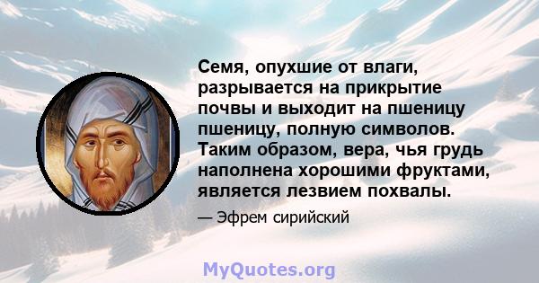 Семя, опухшие от влаги, разрывается на прикрытие почвы и выходит на пшеницу пшеницу, полную символов. Таким образом, вера, чья грудь наполнена хорошими фруктами, является лезвием похвалы.