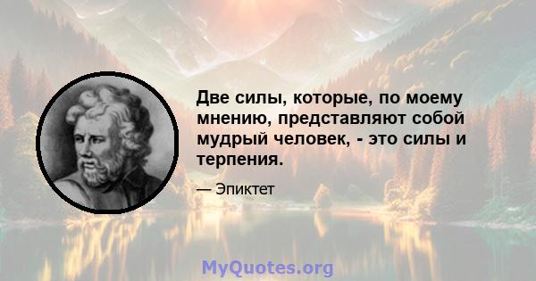 Две силы, которые, по моему мнению, представляют собой мудрый человек, - это силы и терпения.