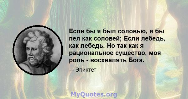 Если бы я был соловью, я бы пел как соловей; Если лебедь, как лебедь. Но так как я рациональное существо, моя роль - восхвалять Бога.