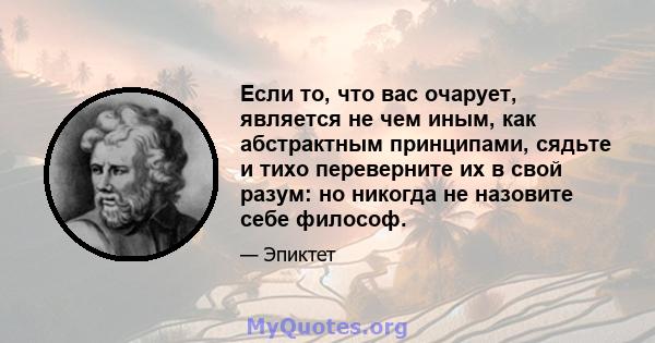 Если то, что вас очарует, является не чем иным, как абстрактным принципами, сядьте и тихо переверните их в свой разум: но никогда не назовите себе философ.