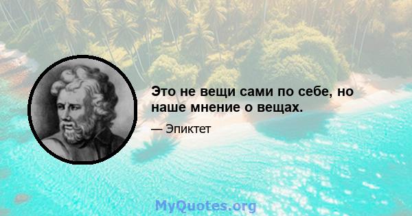 Это не вещи сами по себе, но наше мнение о вещах.