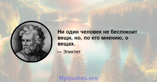 Ни один человек не беспокоит вещи, но, по его мнению, о вещах.