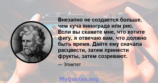 Внезапно не создается больше, чем куча винограда или рис. Если вы скажете мне, что хотите фигу, я отвечаю вам, что должно быть время. Дайте ему сначала расцвести, затем принести фрукты, затем созревают.