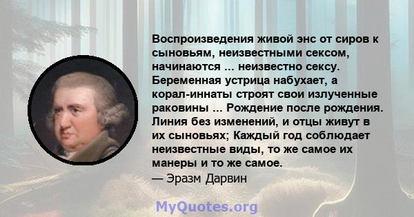 Воспроизведения живой энс от сиров к сыновьям, неизвестными сексом, начинаются ... неизвестно сексу. Беременная устрица набухает, а корал-иннаты строят свои излученные раковины ... Рождение после рождения. Линия без