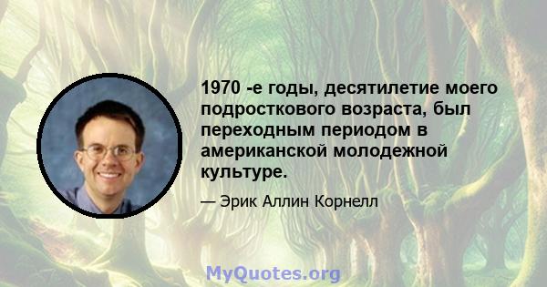 1970 -е годы, десятилетие моего подросткового возраста, был переходным периодом в американской молодежной культуре.