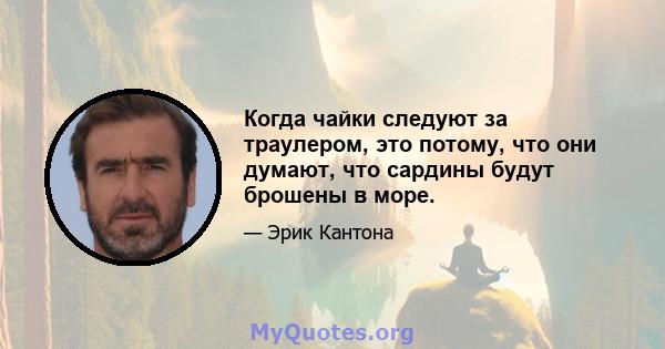 Когда чайки следуют за траулером, это потому, что они думают, что сардины будут брошены в море.