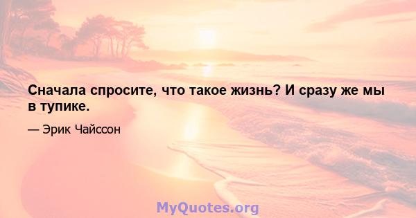 Сначала спросите, что такое жизнь? И сразу же мы в тупике.