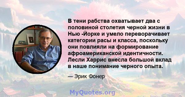 В тени рабства охватывает два с половиной столетия черной жизни в Нью -Йорке и умело переворачивает категории расы и класса, поскольку они повлияли на формирование афроамериканской идентичности. Лесли Харрис внесла