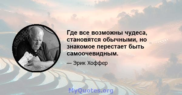 Где все возможны чудеса, становятся обычными, но знакомое перестает быть самоочевидным.