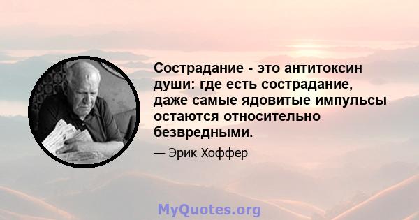 Сострадание - это антитоксин души: где есть сострадание, даже самые ядовитые импульсы остаются относительно безвредными.