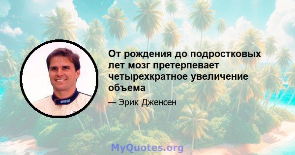 От рождения до подростковых лет мозг претерпевает четырехкратное увеличение объема