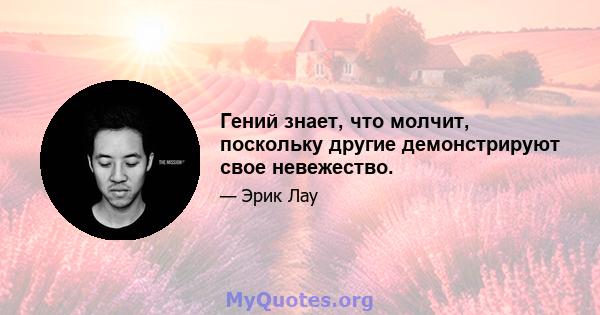 Гений знает, что молчит, поскольку другие демонстрируют свое невежество.