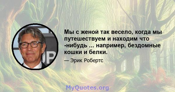 Мы с женой так весело, когда мы путешествуем и находим что -нибудь ... например, бездомные кошки и белки.