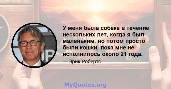 У меня была собака в течение нескольких лет, когда я был маленьким, но потом просто были кошки, пока мне не исполнилось около 21 года.