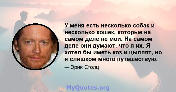 У меня есть несколько собак и несколько кошек, которые на самом деле не мои. На самом деле они думают, что я их. Я хотел бы иметь коз и цыплят, но я слишком много путешествую.