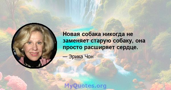 Новая собака никогда не заменяет старую собаку, она просто расширяет сердце.