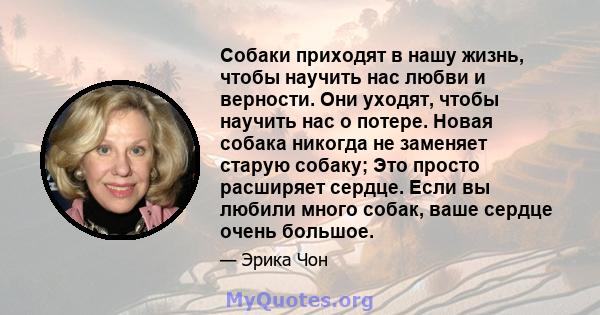 Собаки приходят в нашу жизнь, чтобы научить нас любви и верности. Они уходят, чтобы научить нас о потере. Новая собака никогда не заменяет старую собаку; Это просто расширяет сердце. Если вы любили много собак, ваше