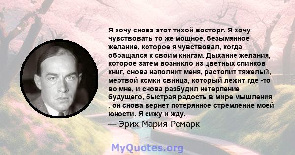 Я хочу снова этот тихой восторг. Я хочу чувствовать то же мощное, безымянное желание, которое я чувствовал, когда обращался к своим книгам. Дыхание желания, которое затем возникло из цветных спинков книг, снова наполнит 