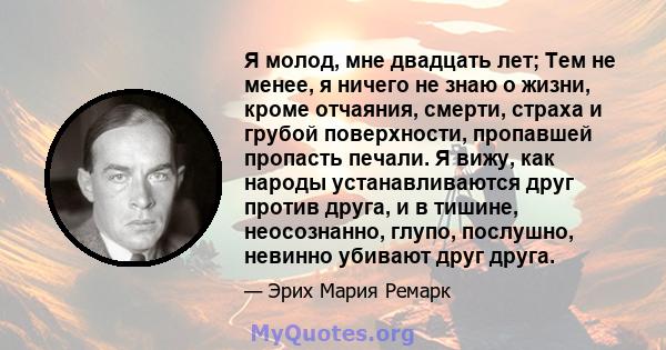 Я молод, мне двадцать лет; Тем не менее, я ничего не знаю о жизни, кроме отчаяния, смерти, страха и грубой поверхности, пропавшей пропасть печали. Я вижу, как народы устанавливаются друг против друга, и в тишине,