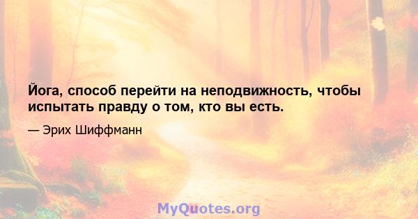 Йога, способ перейти на неподвижность, чтобы испытать правду о том, кто вы есть.