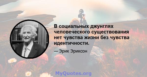 В социальных джунглях человеческого существования нет чувства жизни без чувства идентичности.