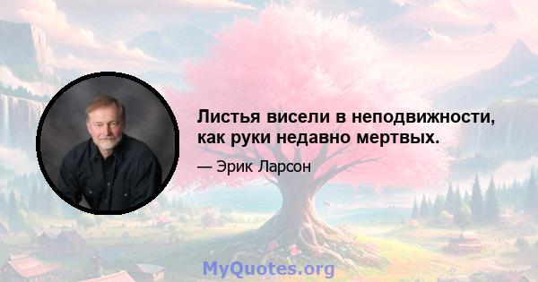 Листья висели в неподвижности, как руки недавно мертвых.