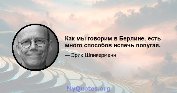 Как мы говорим в Берлине, есть много способов испечь попугая.