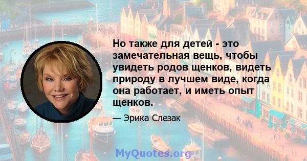 Но также для детей - это замечательная вещь, чтобы увидеть родов щенков, видеть природу в лучшем виде, когда она работает, и иметь опыт щенков.