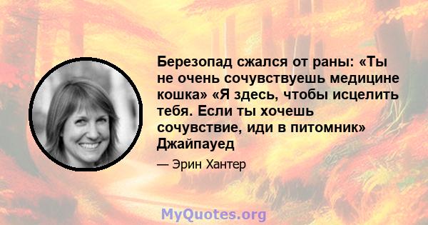 Березопад сжался от раны: «Ты не очень сочувствуешь медицине кошка» «Я здесь, чтобы исцелить тебя. Если ты хочешь сочувствие, иди в питомник» Джайпауед