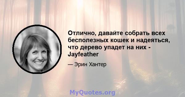 Отлично, давайте собрать всех бесполезных кошек и надеяться, что дерево упадет на них - Jayfeather