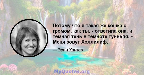 Потому что я такая же кошка с громом, как ты, - ответила она, и темная тень в темноте туннеля. - Меня зовут Холлилиф.