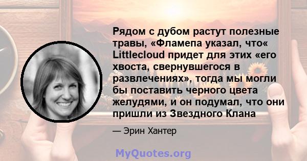 Рядом с дубом растут полезные травы, «Фламепа указал, что« Littlecloud придет для этих «его хвоста, свернувшегося в развлечениях», тогда мы могли бы поставить черного цвета желудями, и он подумал, что они пришли из