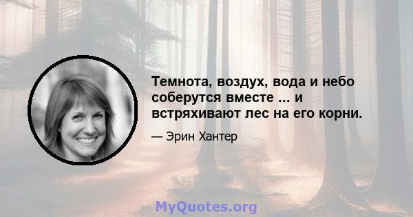 Темнота, воздух, вода и небо соберутся вместе ... и встряхивают лес на его корни.