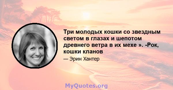 Три молодых кошки со звездным светом в глазах и шепотом древнего ветра в их мехе ». -Рок, кошки кланов