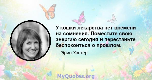 У кошки лекарства нет времени на сомнения. Поместите свою энергию сегодня и перестаньте беспокоиться о прошлом.