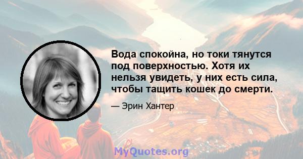 Вода спокойна, но токи тянутся под поверхностью. Хотя их нельзя увидеть, у них есть сила, чтобы тащить кошек до смерти.