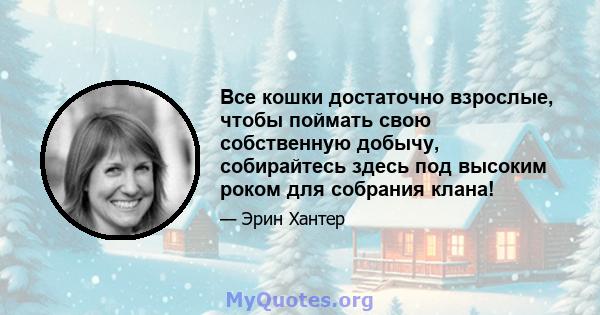 Все кошки достаточно взрослые, чтобы поймать свою собственную добычу, собирайтесь здесь под высоким роком для собрания клана!