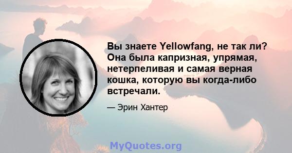 Вы знаете Yellowfang, не так ли? Она была капризная, упрямая, нетерпеливая и самая верная кошка, которую вы когда-либо встречали.