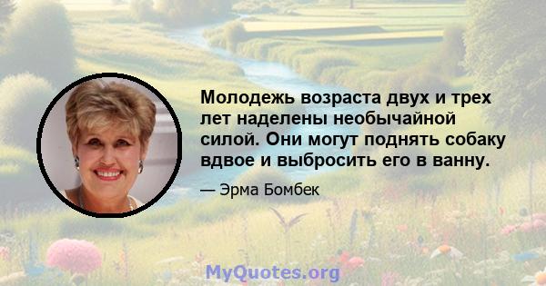 Молодежь возраста двух и трех лет наделены необычайной силой. Они могут поднять собаку вдвое и выбросить его в ванну.