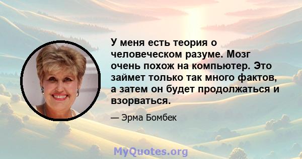 У меня есть теория о человеческом разуме. Мозг очень похож на компьютер. Это займет только так много фактов, а затем он будет продолжаться и взорваться.