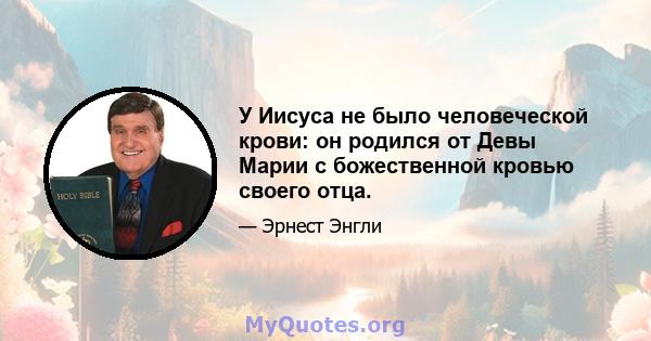 У Иисуса не было человеческой крови: он родился от Девы Марии с божественной кровью своего отца.