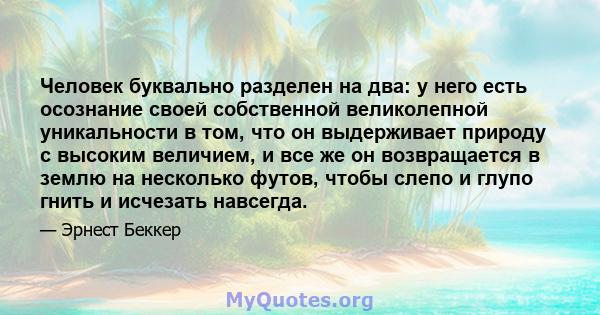 Человек буквально разделен на два: у него есть осознание своей собственной великолепной уникальности в том, что он выдерживает природу с высоким величием, и все же он возвращается в землю на несколько футов, чтобы слепо 