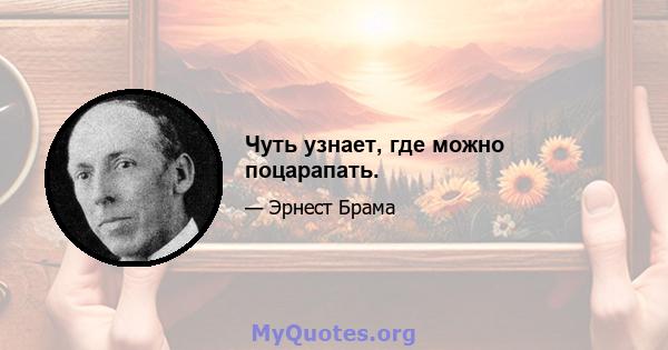 Чуть узнает, где можно поцарапать.