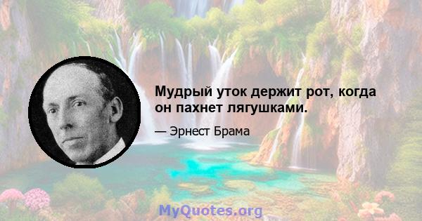 Мудрый уток держит рот, когда он пахнет лягушками.