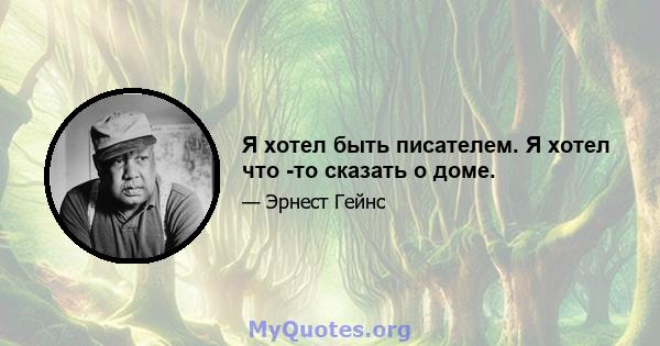 Я хотел быть писателем. Я хотел что -то сказать о доме.